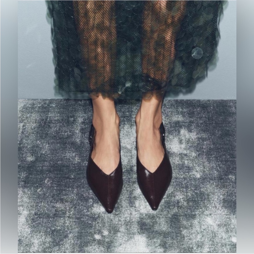 Zara Dark aubergine Leather flats with Buckle